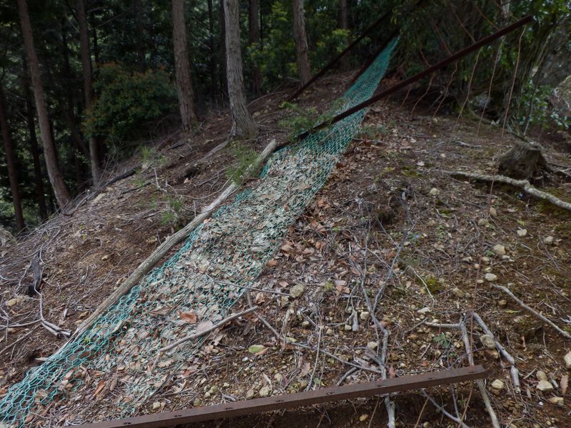 鹿柵が倒れていた