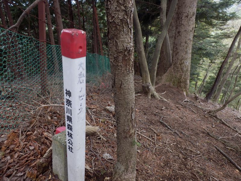 宮ヶ瀬尾根に乗る
