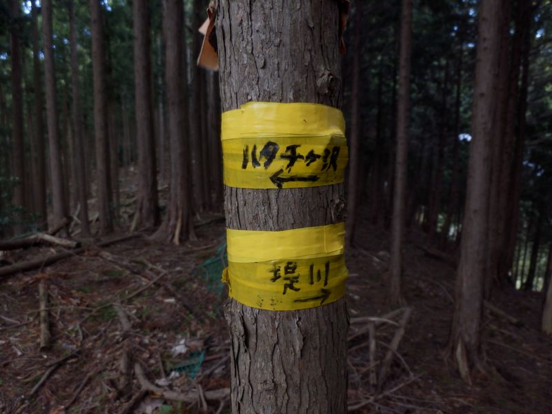 エスケープルート