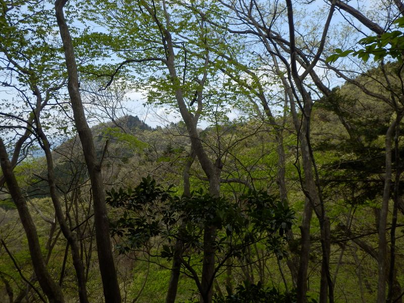 宮ヶ瀬尾根617m峰