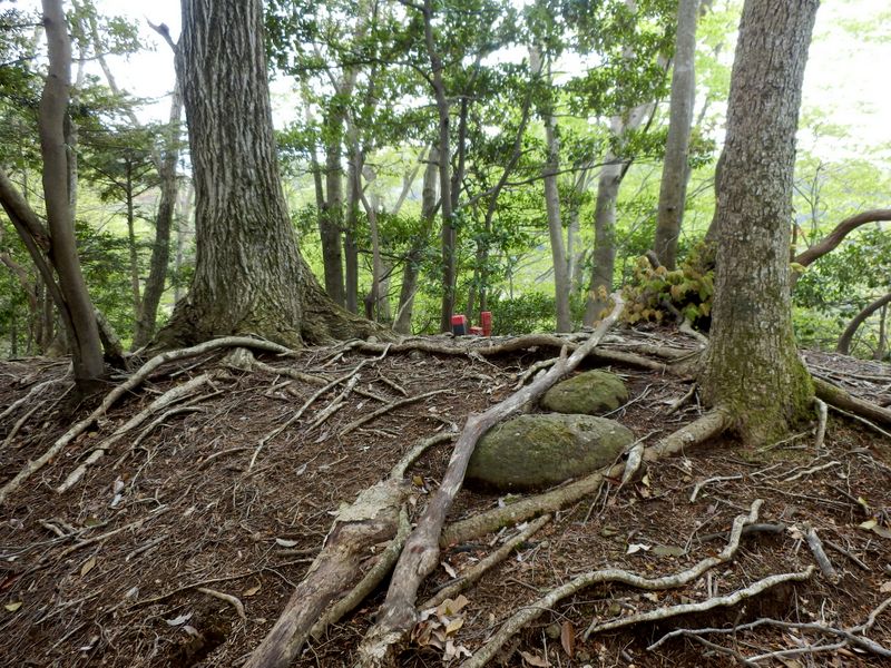 標高610m+の小峰