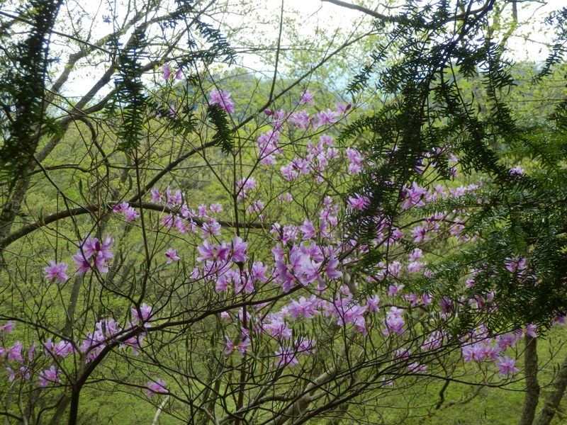 鍋嵐を何とか望む