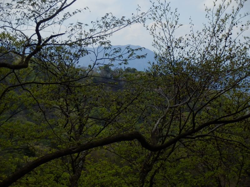 能ノ爪より、焼山を望む