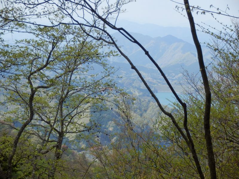 能ノ爪より宮ヶ瀬湖