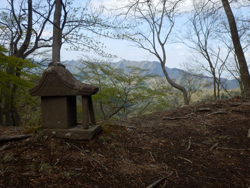 遠方中央に仏果山