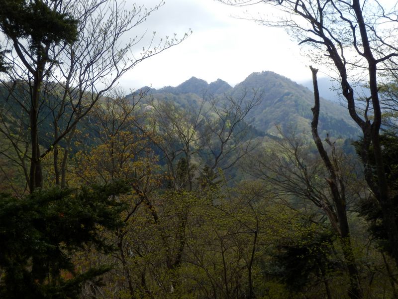 大山三峰山を望みながら