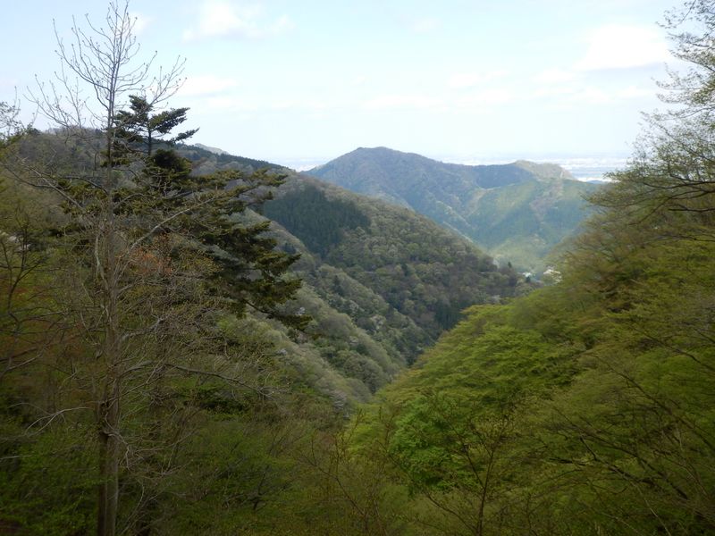 辺室山の山腹に唐沢林道