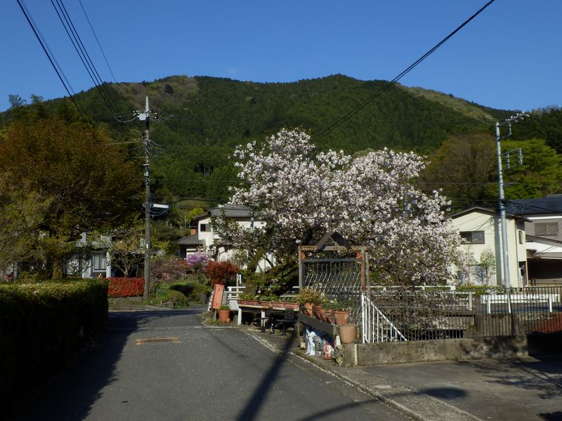 県道が見えた！