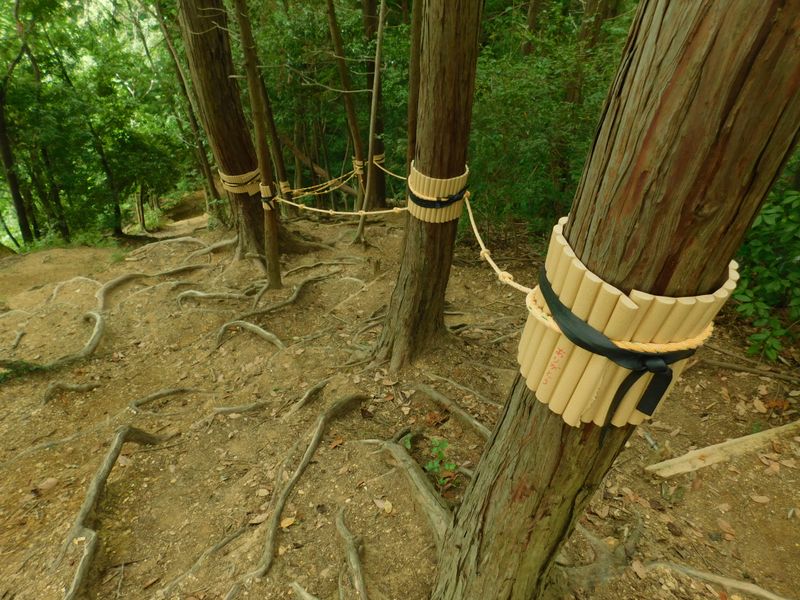 「ありがとう」の文字