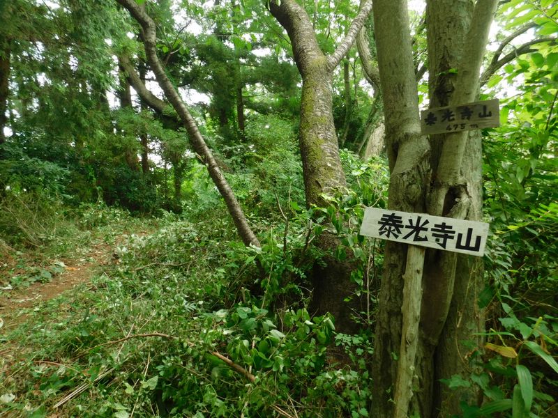 泰光寺山頂に到着
