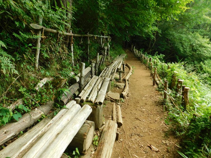 ガラガラの見晴台