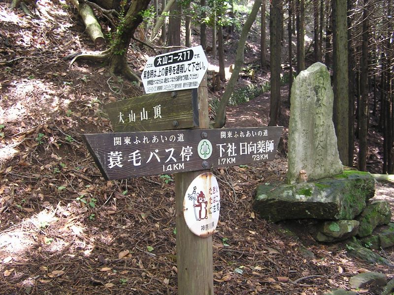 左に大山山頂への近道を分ける