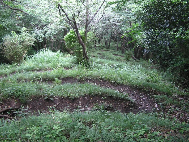 九十九曲を下る