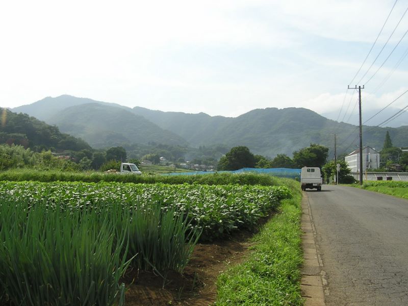 神戸より望む高取山（左上）、聖峰（その手前）、大山（右奥の雲の中）