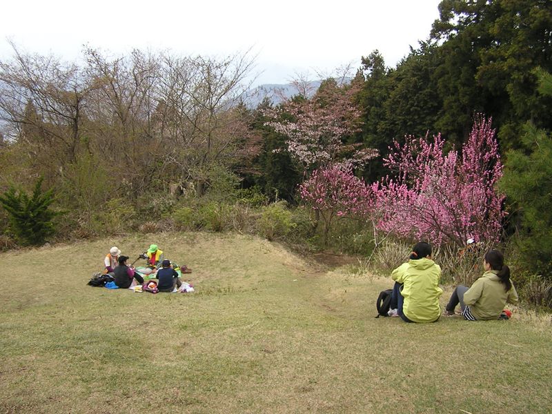 日影林道から城山 -- 相模湖に下る道（中央）は、東海自然歩道