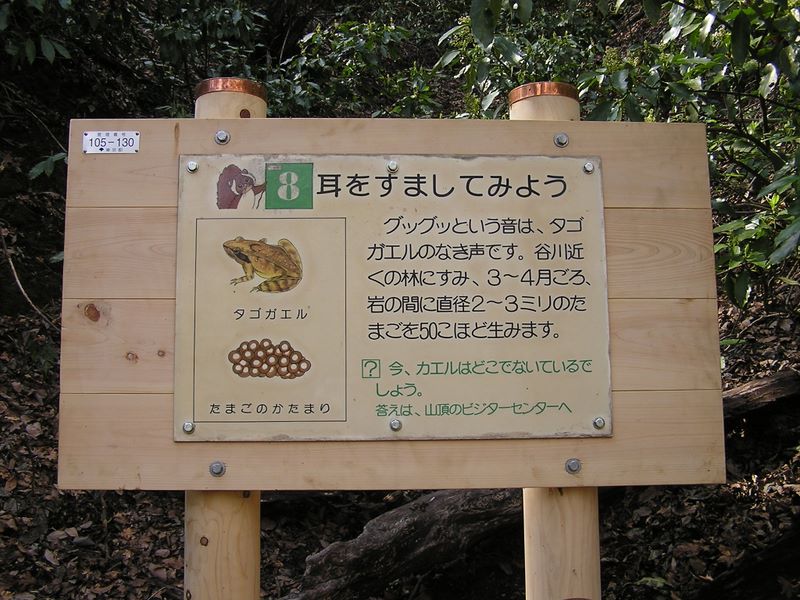 日影林道から城山 -- 声は聞こえたが、姿は見えなかった