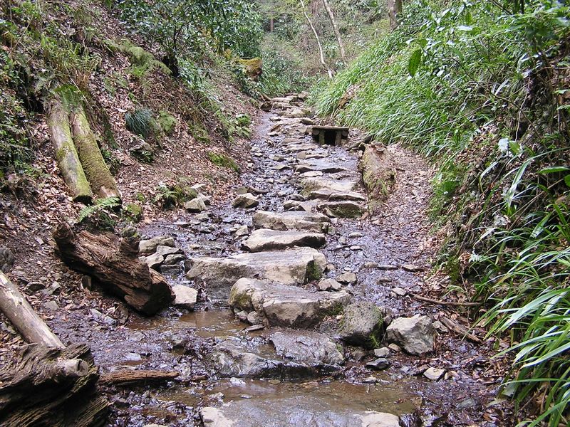 日影林道から城山 -- 飛び石の道