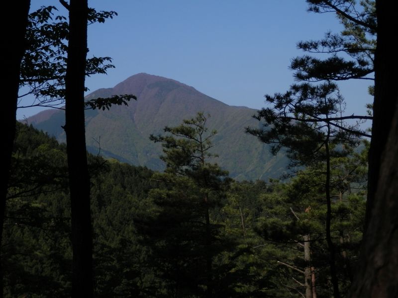 大室山が見えた！