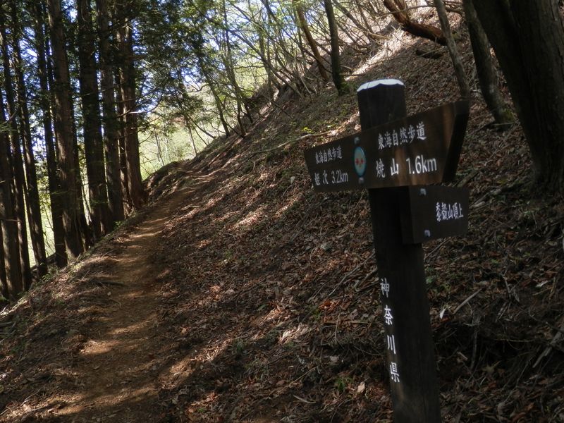黍殻山（右に登る）はパス