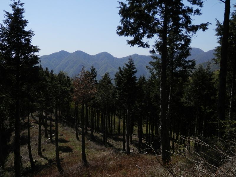 p5028941.jpg (large)