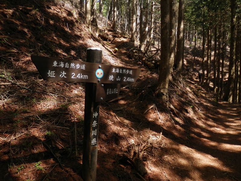 p5028944.jpg (large)