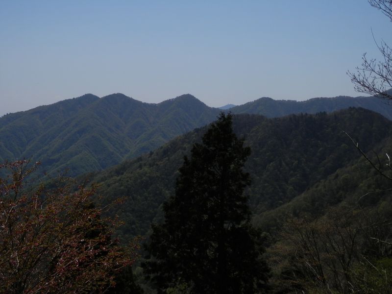 p5028960.jpg (large)