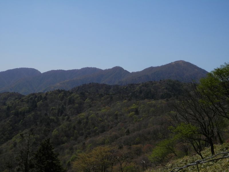 p5028962.jpg (large)