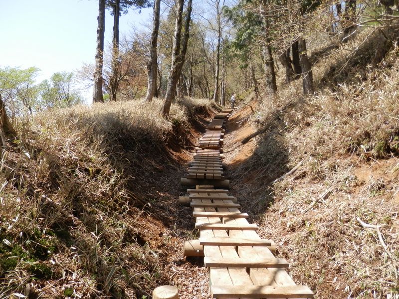 冬場はこの木道が雪で埋まる