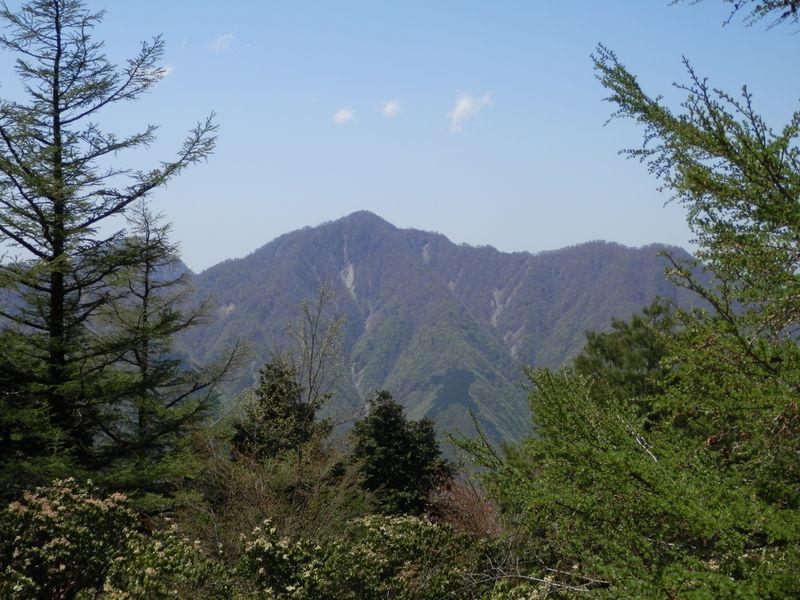檜洞丸の肩に青い屋根の山小屋が見える