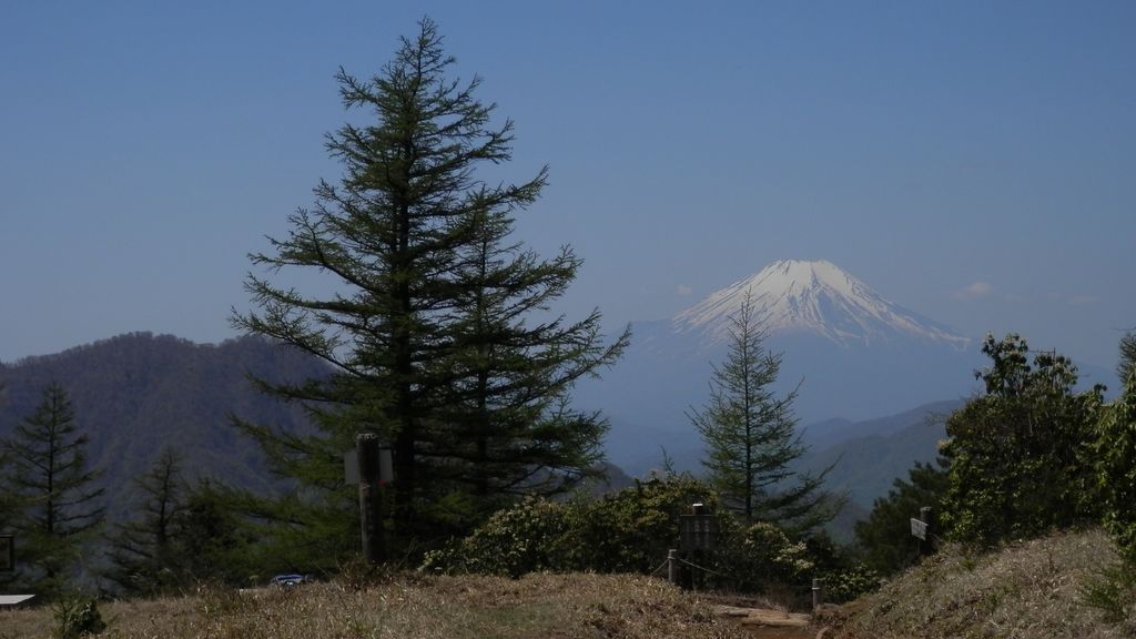 今日の日はさようなら
