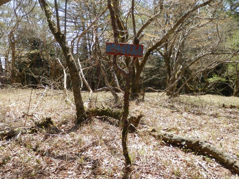 少し離れたところに「自然歩道最高点」