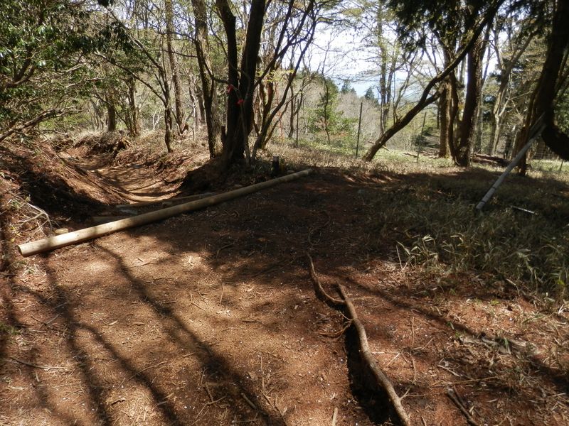 榛ノ木丸への分岐