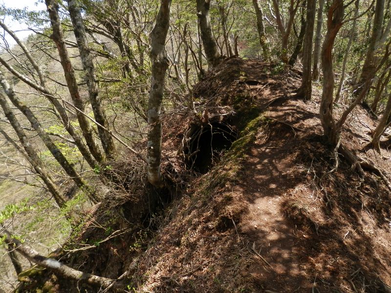 やせ尾根もある