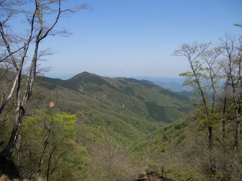 崩落地より、東海自然歩道のある主脈を望む