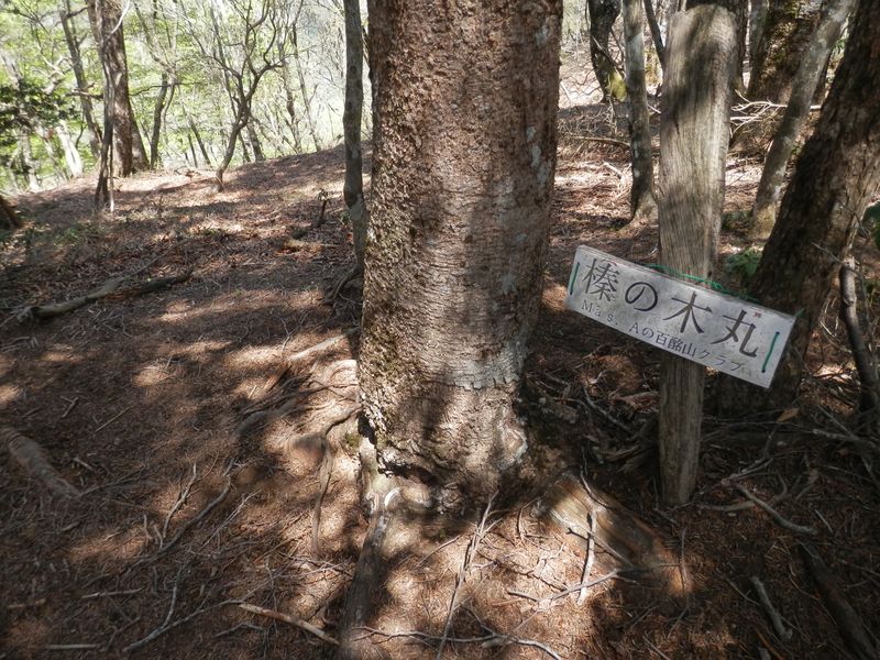 榛ノ木丸の山頂を辞す