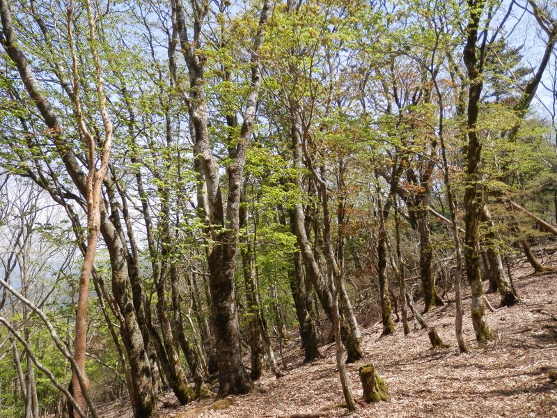 秘密の楽園で大休止しよう