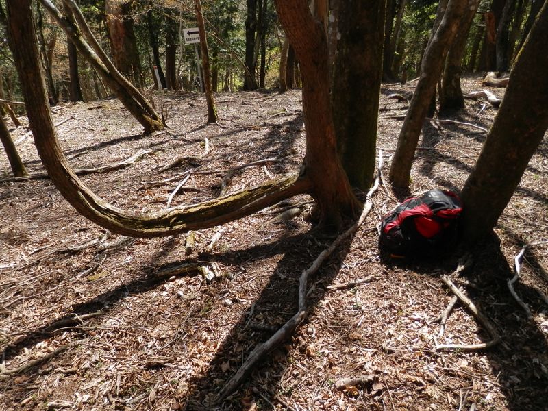 ここに腰掛けて、秘密の楽園を満喫