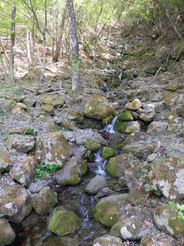 沢の水で手と顔を洗い、喉を潤す