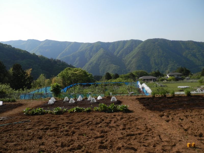大川原山の稜線もいつか歩きたい