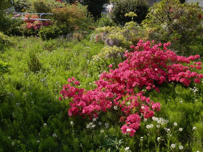 適度に自然で、適度に人の手が入り