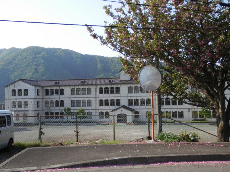 青根中学校前では、八重桜の花吹雪