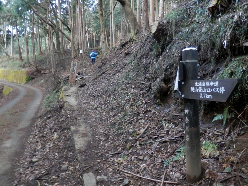 後から来たトレイルランナーに、あっという間に抜き去られた