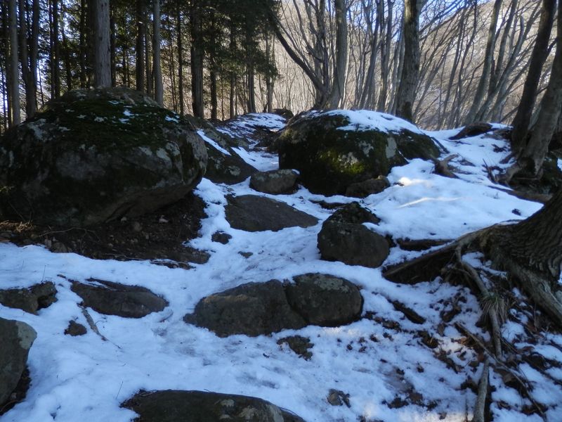 まだアイゼンを着けるのは早すぎる