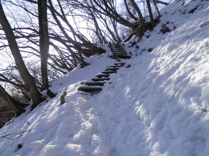 焼山まで、階段はここだけだったと思う