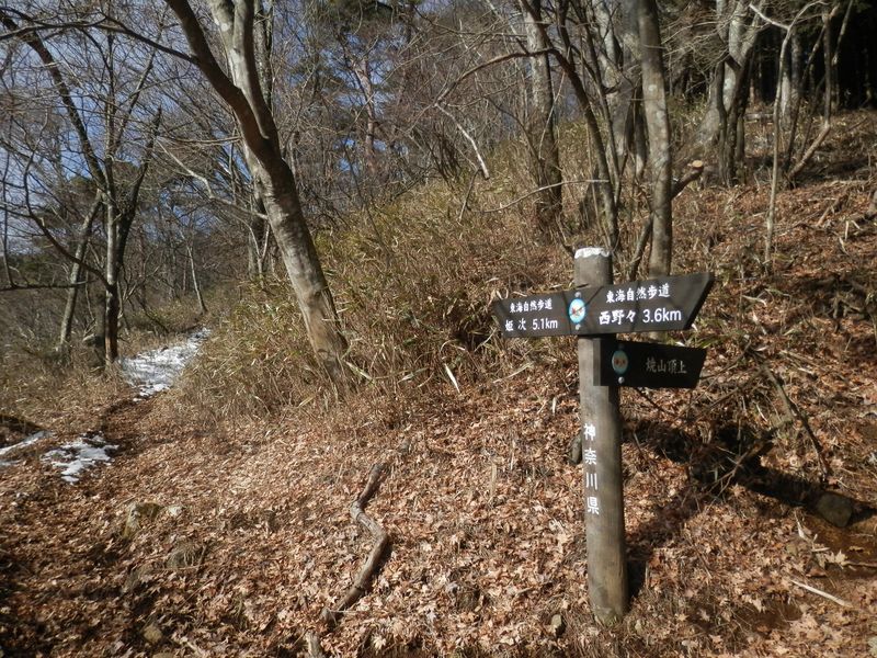 ここは春みたいな陽だまり