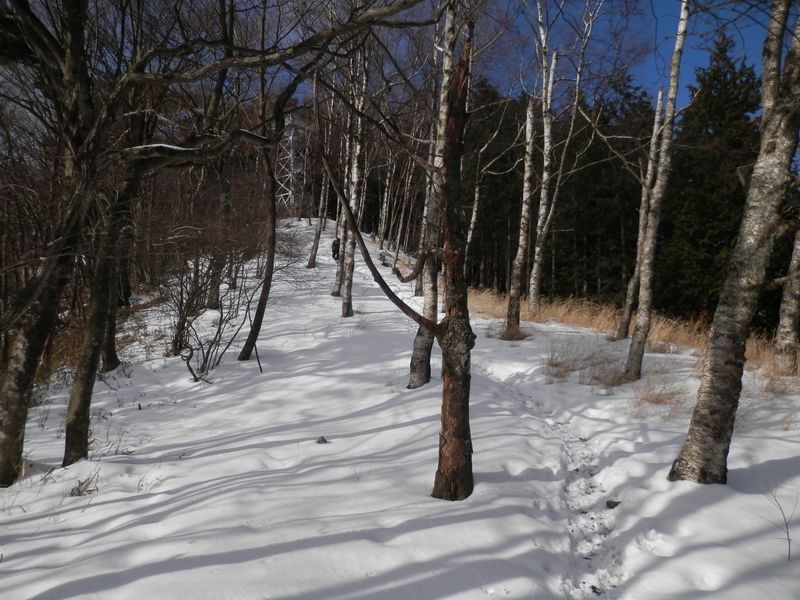 焼山の展望台が見える