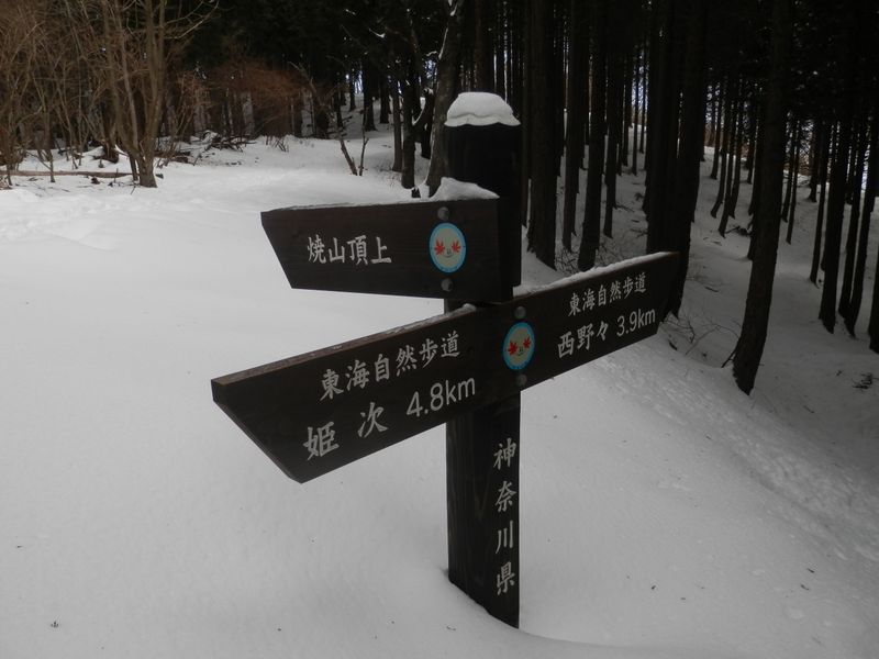 焼山の巻き道を合わせる