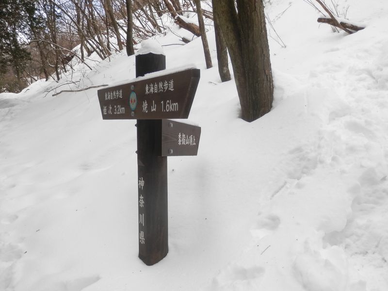 黍殻山頂に行ってみよう