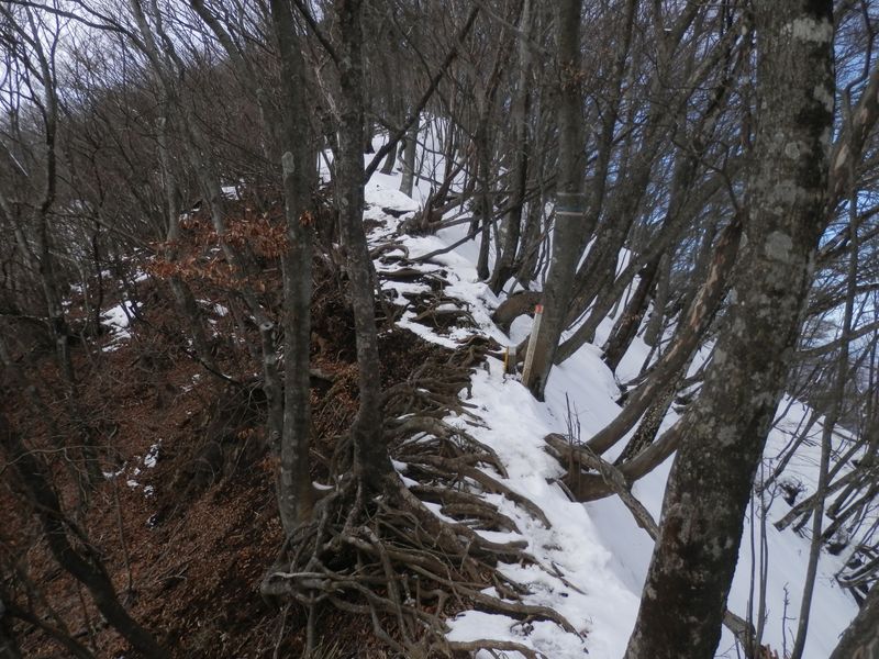 黍殻山のやせ尾根