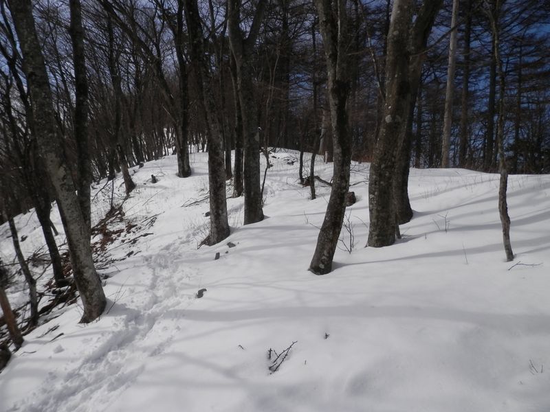 トレースを逸れると、雪が膝まである